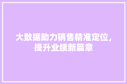 大数据助力销售精准定位，提升业绩新篇章