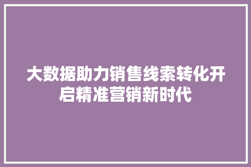 大数据助力销售线索转化开启精准营销新时代