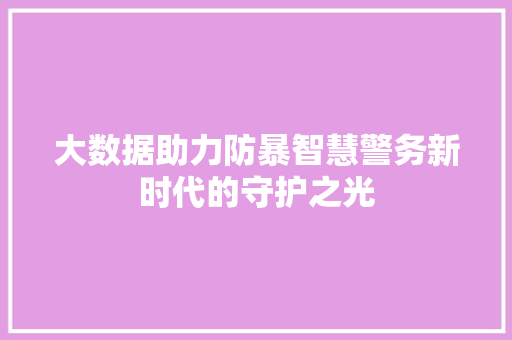 大数据助力防暴智慧警务新时代的守护之光  第1张