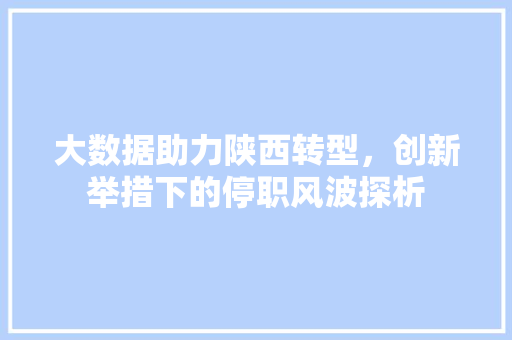 大数据助力陕西转型，创新举措下的停职风波探析