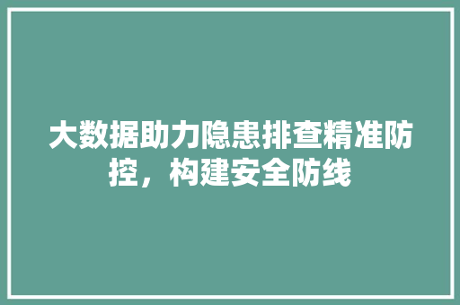 大数据助力隐患排查精准防控，构建安全防线