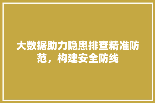 大数据助力隐患排查精准防范，构建安全防线