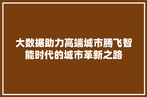 大数据助力高端城市腾飞智能时代的城市革新之路