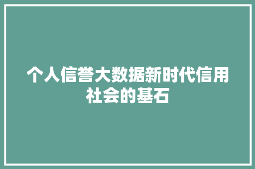 个人信誉大数据新时代信用社会的基石