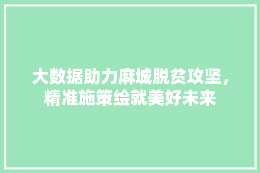大数据助力麻城脱贫攻坚，精准施策绘就美好未来