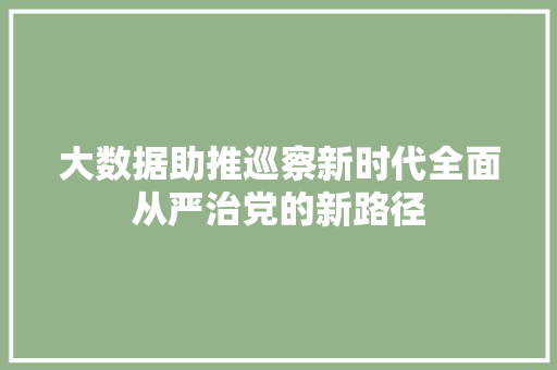 大数据助推巡察新时代全面从严治党的新路径