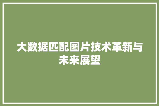 大数据匹配图片技术革新与未来展望