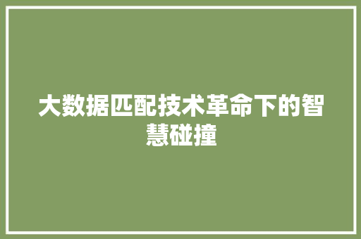 大数据匹配技术革命下的智慧碰撞