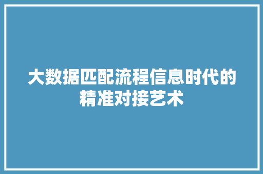 大数据匹配流程信息时代的精准对接艺术