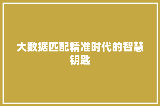 大数据匹配精准时代的智慧钥匙
