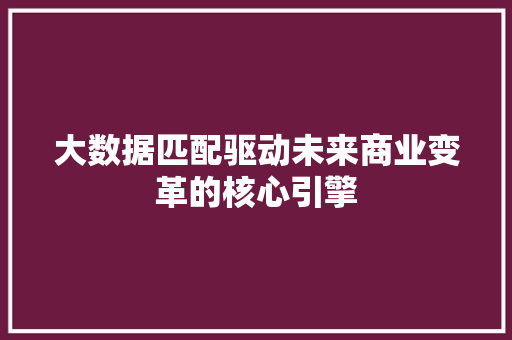 大数据匹配驱动未来商业变革的核心引擎
