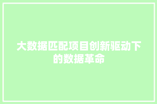 大数据匹配项目创新驱动下的数据革命