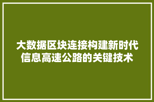 大数据区块连接构建新时代信息高速公路的关键技术