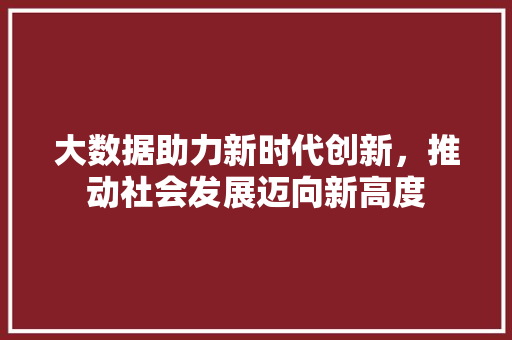 大数据助力新时代创新，推动社会发展迈向新高度