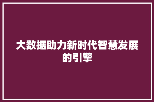 大数据助力新时代智慧发展的引擎
