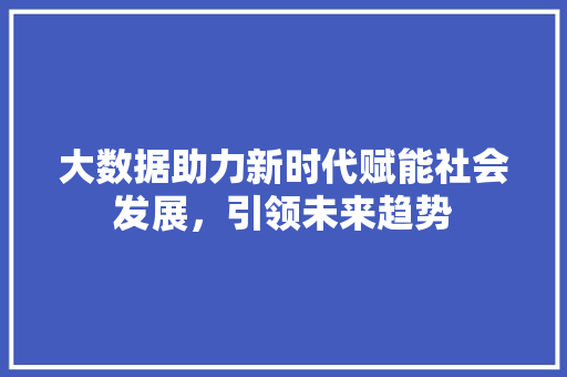 大数据助力新时代赋能社会发展，引领未来趋势