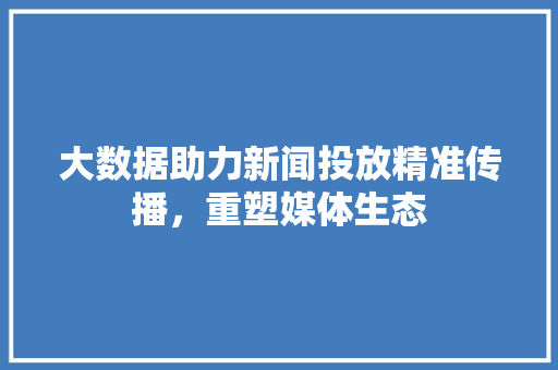 大数据助力新闻投放精准传播，重塑媒体生态