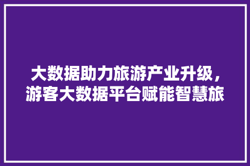 大数据助力旅游产业升级，游客大数据平台赋能智慧旅游新时代  第1张
