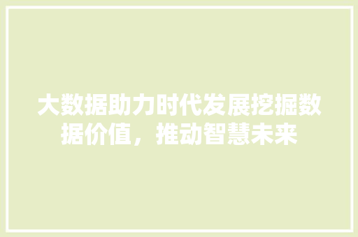 大数据助力时代发展挖掘数据价值，推动智慧未来
