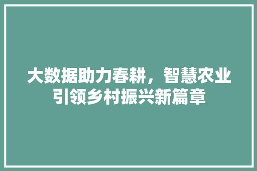 大数据助力春耕，智慧农业引领乡村振兴新篇章