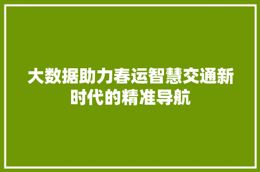 大数据助力春运智慧交通新时代的精准导航  第1张