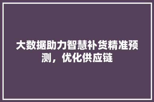 大数据助力智慧补货精准预测，优化供应链