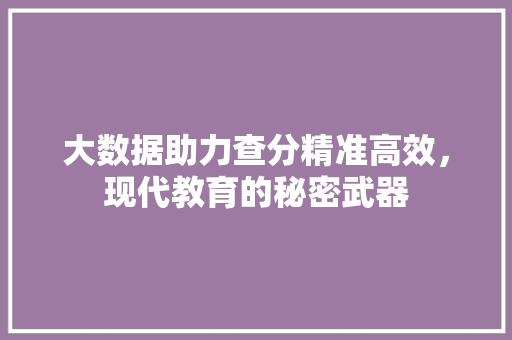 大数据助力查分精准高效，现代教育的秘密武器