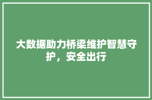 大数据助力桥梁维护智慧守护，安全出行