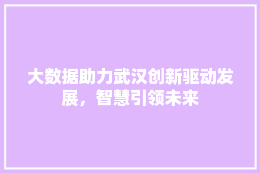 大数据助力武汉创新驱动发展，智慧引领未来