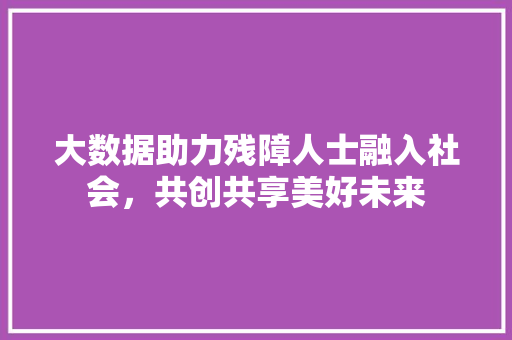 大数据助力残障人士融入社会，共创共享美好未来