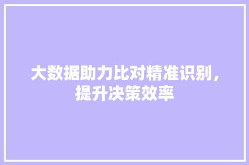 大数据助力比对精准识别，提升决策效率  第1张