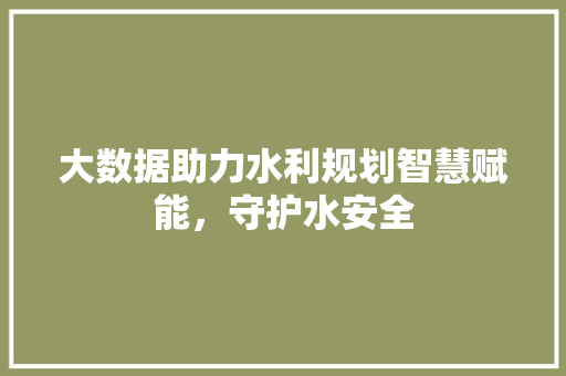 大数据助力水利规划智慧赋能，守护水安全