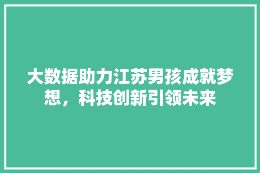 大数据助力江苏男孩成就梦想，科技创新引领未来  第1张