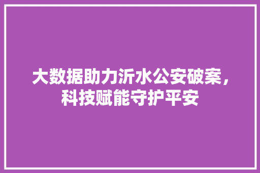 大数据助力沂水公安破案，科技赋能守护平安