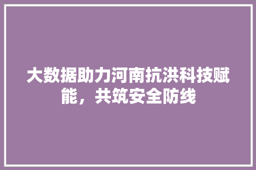 大数据助力河南抗洪科技赋能，共筑安全防线