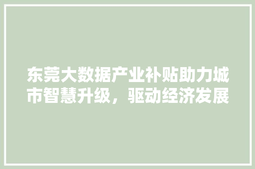 东莞大数据产业补贴助力城市智慧升级，驱动经济发展新引擎