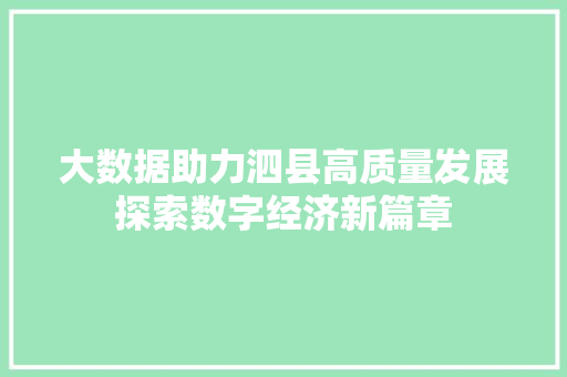大数据助力泗县高质量发展探索数字经济新篇章  第1张