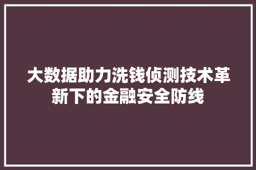 大数据助力洗钱侦测技术革新下的金融安全防线