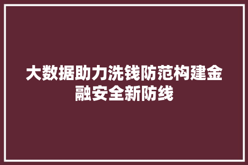 大数据助力洗钱防范构建金融安全新防线