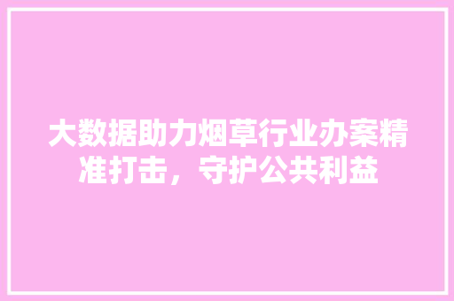 大数据助力烟草行业办案精准打击，守护公共利益