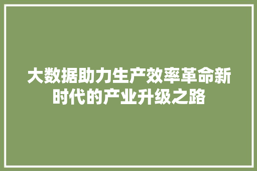 大数据助力生产效率革命新时代的产业升级之路