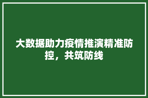 大数据助力疫情推演精准防控，共筑防线