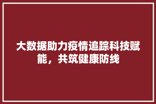 大数据助力疫情追踪科技赋能，共筑健康防线