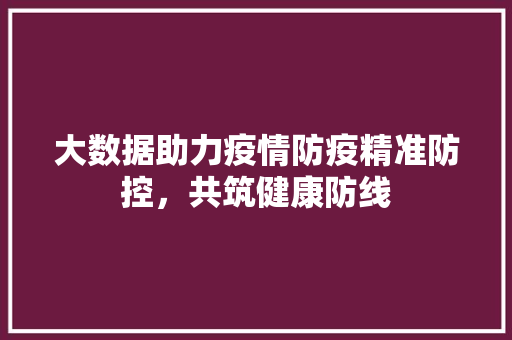大数据助力疫情防疫精准防控，共筑健康防线