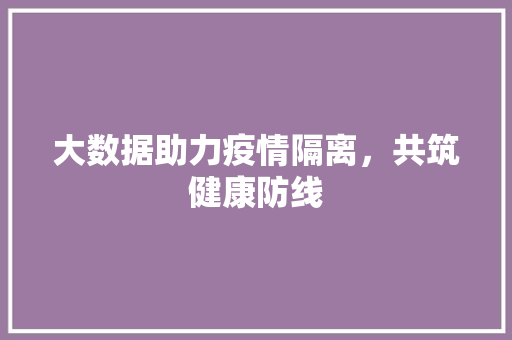 大数据助力疫情隔离，共筑健康防线