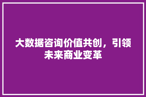 大数据咨询价值共创，引领未来商业变革