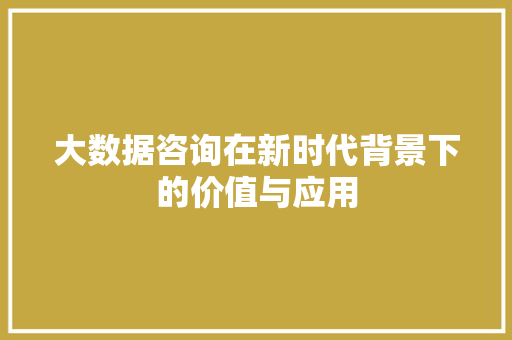 大数据咨询在新时代背景下的价值与应用