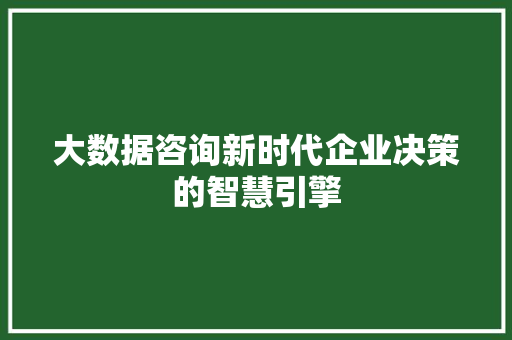 大数据咨询新时代企业决策的智慧引擎  第1张