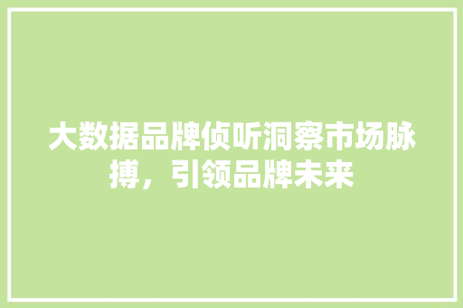 大数据品牌侦听洞察市场脉搏，引领品牌未来