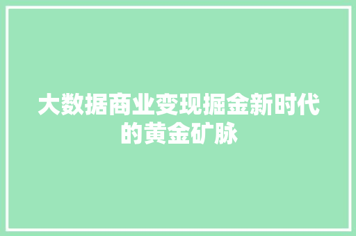 大数据商业变现掘金新时代的黄金矿脉